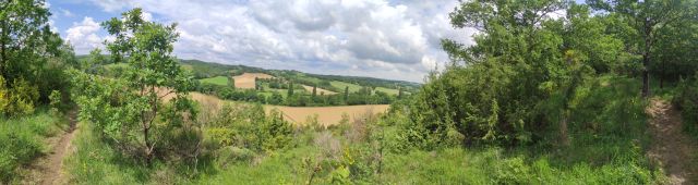 2023-05-20 -simorre (28)