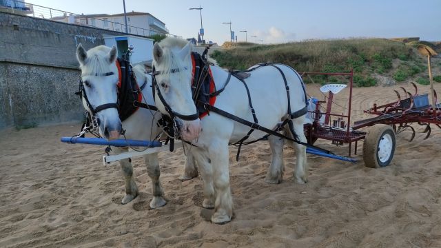 2023-07-02 - brem-sur-mer (03)