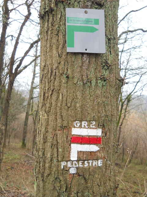 2016-02-14-bondoufle (14)