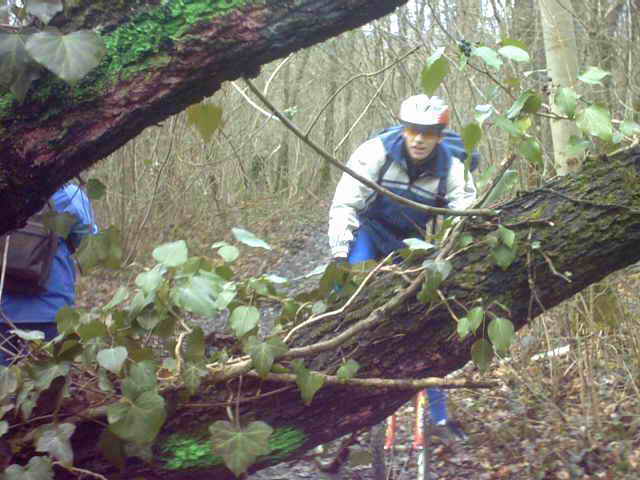 2005-02-12 Flechage 06