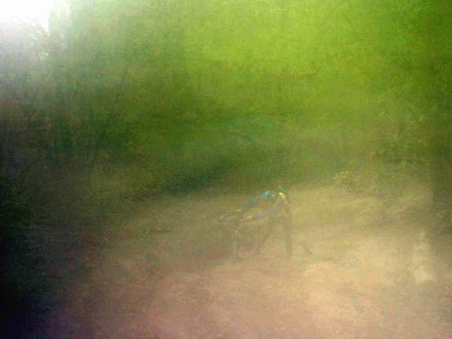 2005-04-24 Linas (05)