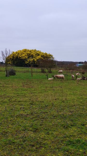 2024-02-04 - vertou (11)