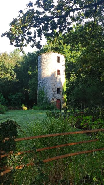 2024-09-08 - chaumes-en-retz (02)