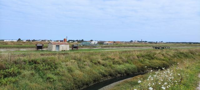 2024-07-24 - l'epine (07)