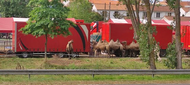 2024-08-03 - olonne-sur-mer (07)