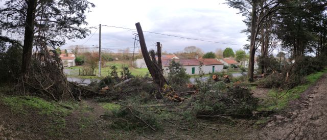 2024-11-25_la-barre-de-monts (07)