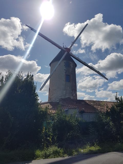2020-09-06 - bois-de-cene (14)