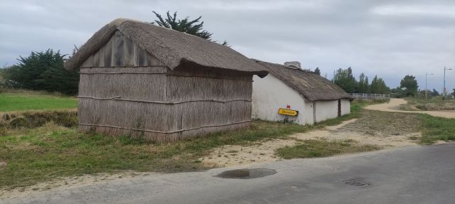 2024-08-24 - fromentine (10)
