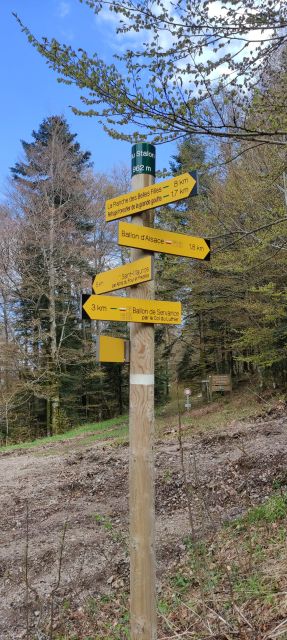 2024-04-27 - ballon-d-alsace (24)