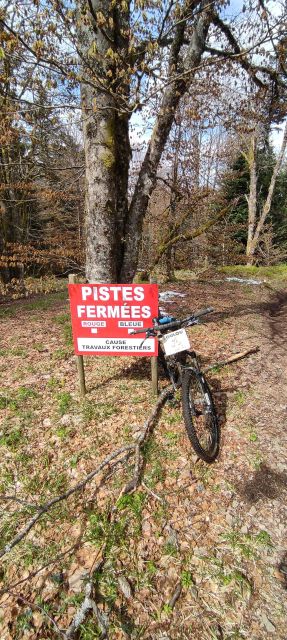 2024-04-27 - ballon-d-alsace (28)