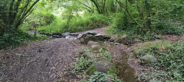 2024-09-29 - gorges (07)