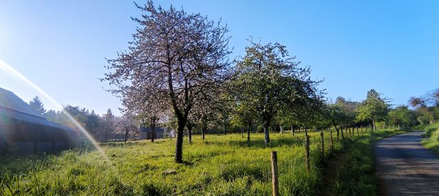 2024-05-08 - thury-harcourt (01)