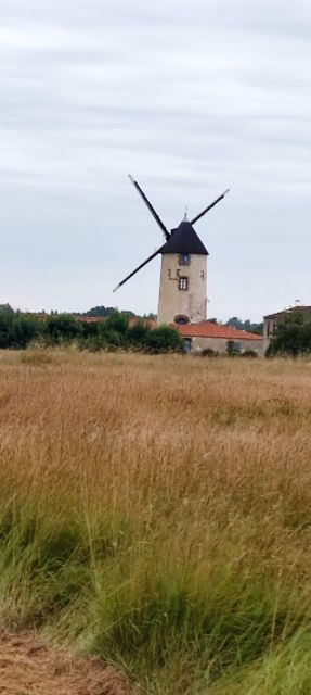 2024-07-14 - fromentine (01)