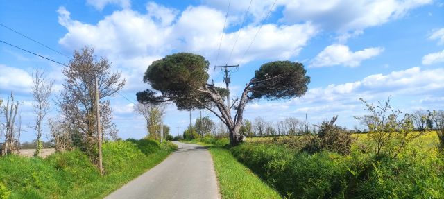 2024-04-23 - pays de saint-gilles-croix-de-vie (06)