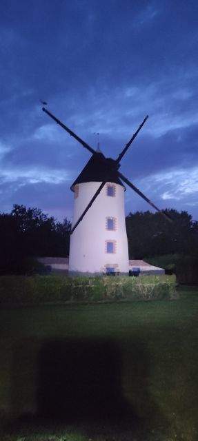 2024-07-27 - bois-de-cene (12)