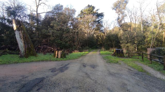 2024-02-11 - saint-jean-de-monts (02)