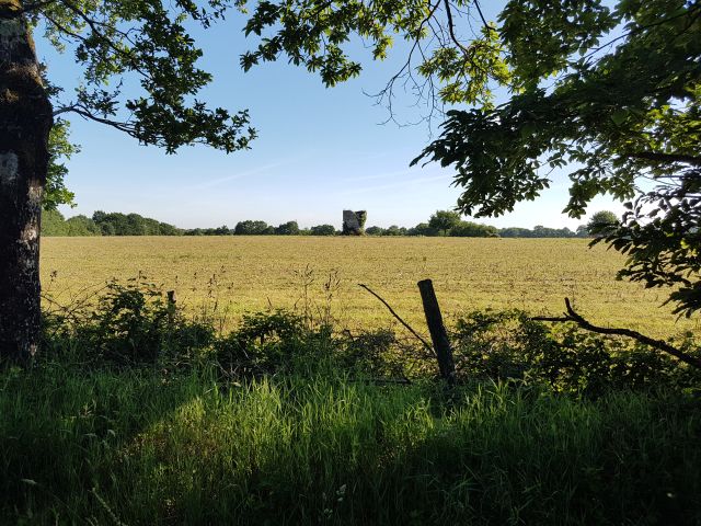 2019-05-31 saint-laurent-sur-oust (08)