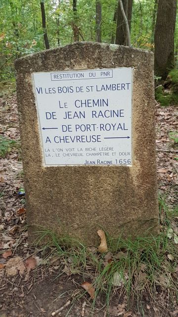 2019-09-29 - saint-remy-les-chevreuse (12)
