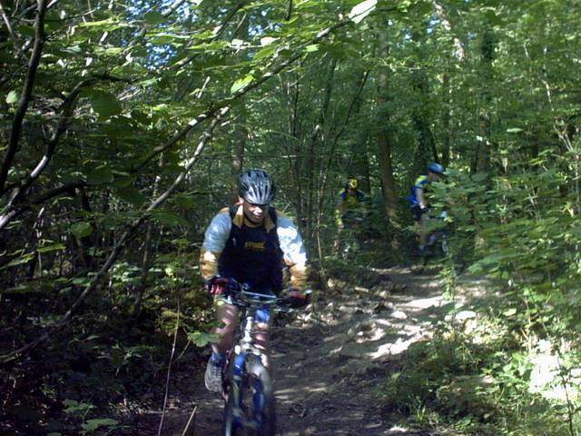 2006-06-11- jouy en josas (03)