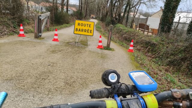 2023-02-21 - saint-reverend (08)