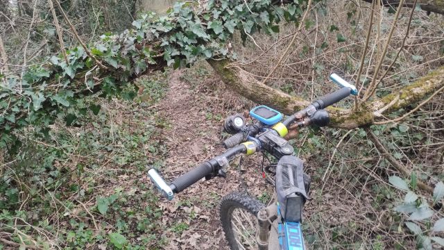 2023-03-05 - commequiers (06)