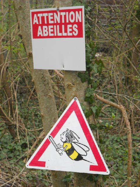 2012-03-31-yerres (10)