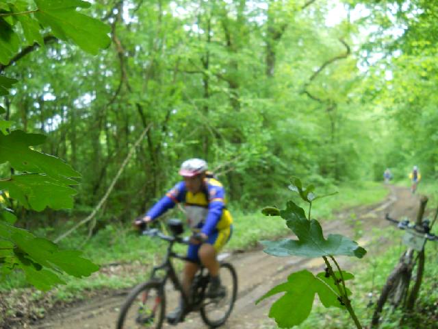 2012-05-18- st dizier (051)