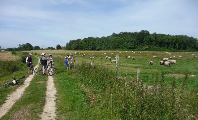 2012-06-24 - montrichard (36)