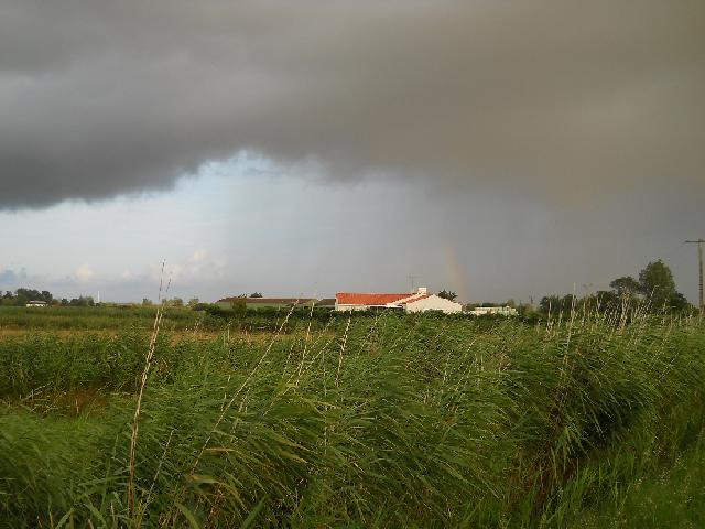 2012-08-03- aizenay (03)