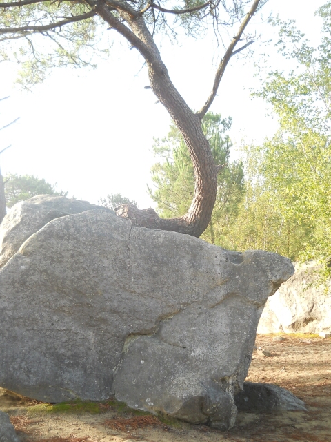 2015-09-02-le-vaudoue (25)