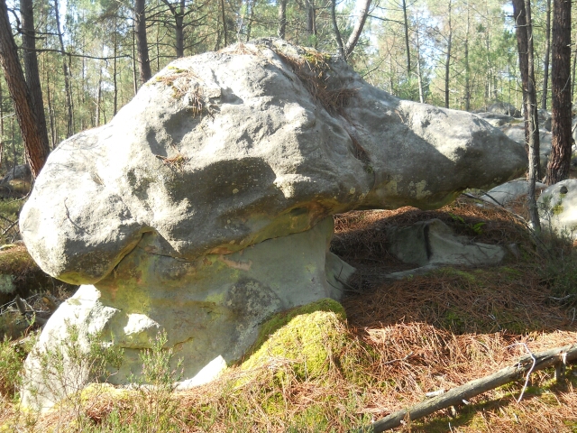 2015-09-02-le-vaudoue (46)