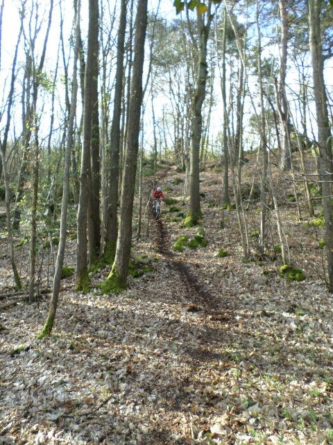 2016-04-17- morigny-champigny (04)