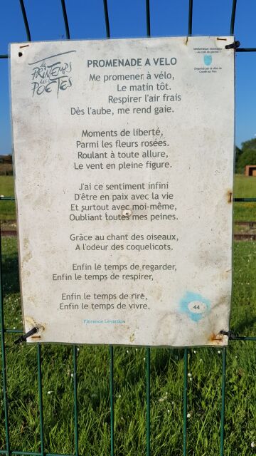 2017-05-25 - conde-sur-vire (004)