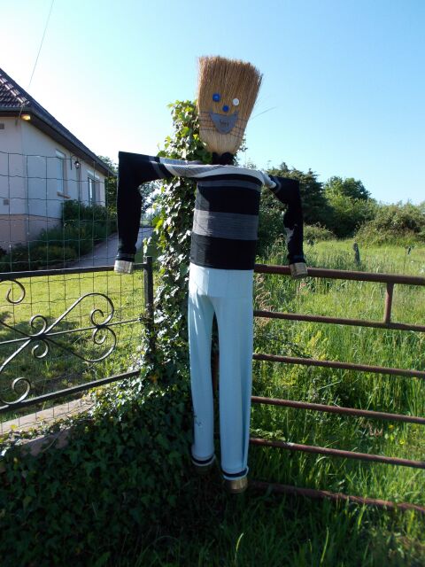 2017-05-25 - conde-sur-vire (010)