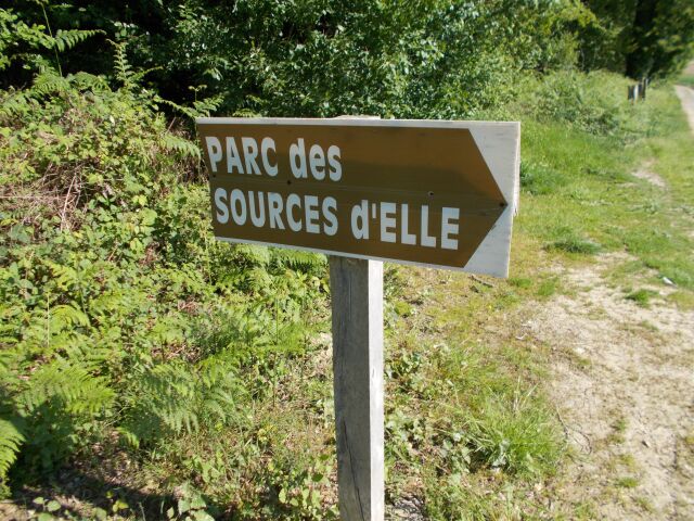 2017-05-25 - conde-sur-vire (013)