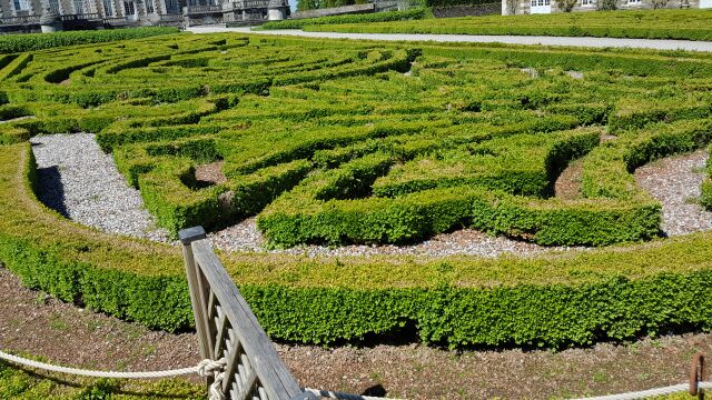 2017-05-25 - conde-sur-vire (031)