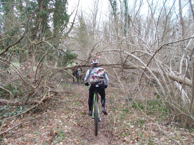 2019-03-09-champcueil (03]