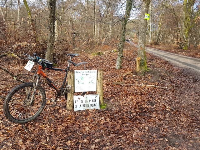 2019-03-17-fontainebleau (03)