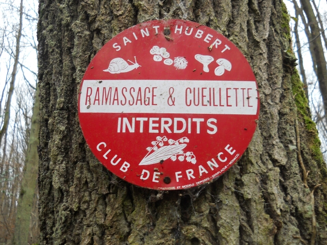 2015-01-04-champcueil (02)