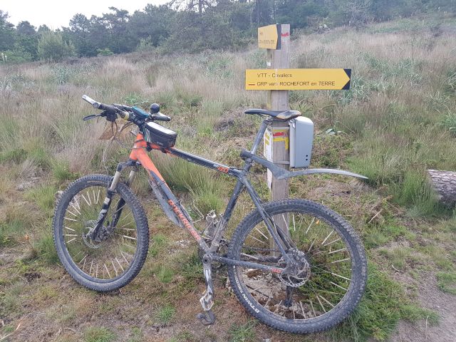 2019-05-30 - questembert (07)