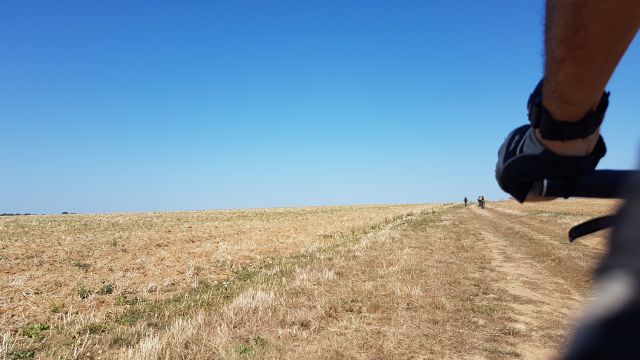 2019-09-21-milly-la-foret (10)