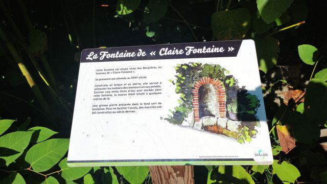 2021-09-29 - st-christophe-du-ligneron (04)