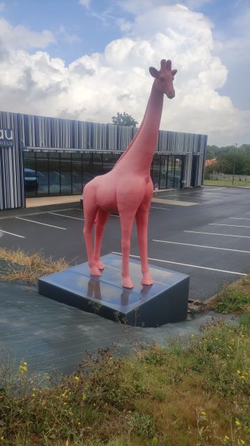 2022-08-16 - les achards (15)