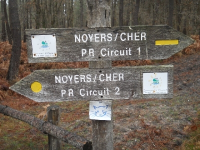 2013-06-01-noyers (16)