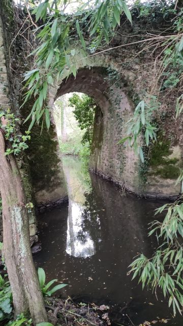 2023-04-23 - clisson (15)