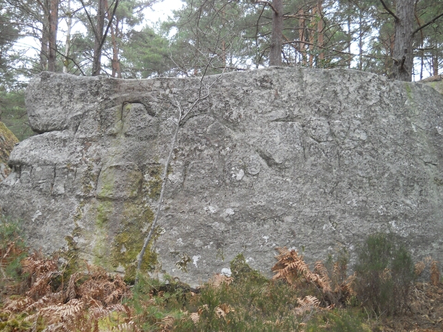 2015-03-22-fontainebleau (20)