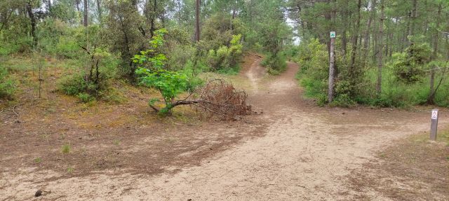 2024-05-25 - saint-jean-de-monts (01)