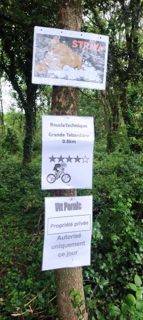 2024-06-16 - pornic (08)