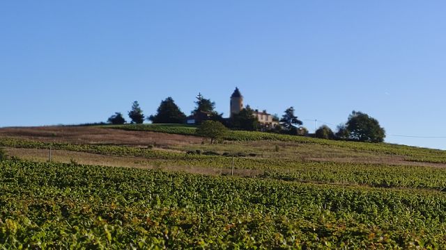 2024-09-15 - haute-goulaine (07)