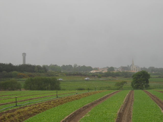 2015-04-26-fresnay-en-retz (09)